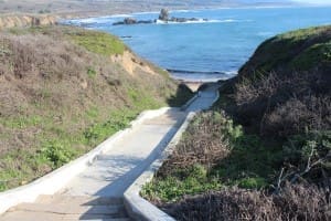 Dania Moctezuma, Operations Coordinator at Chicago holding her college diploma