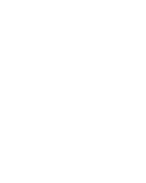 The Braven logo on a transparent background.